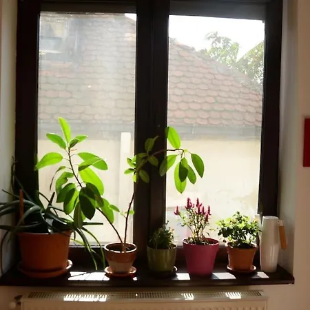 Old Town Bohemian With Garden View Balcony