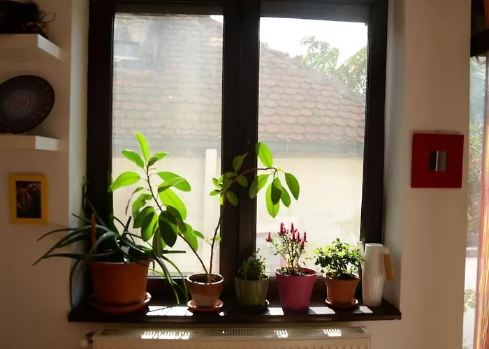 Old Town Bohemian With Garden View Balcony
