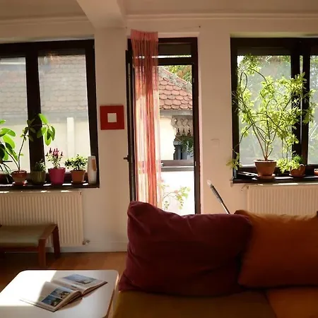 Apartament Old Town Bohemian With Garden View Balcony Bukareszt