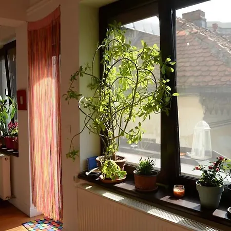 Old Town Bohemian With Garden View Balcony * Bukareszt